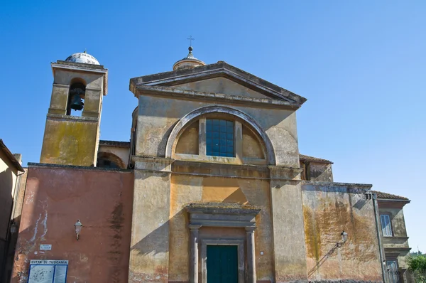 Kerk van ss. martiri. Tuscania. Lazio. Italië. — Stockfoto
