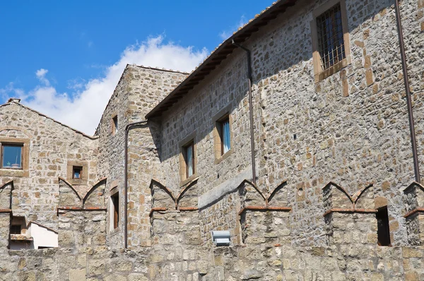 Historický palác. Viterbo. Lazio. Itálie. — Stock fotografie