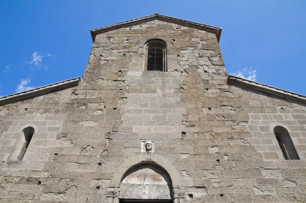 성 마리아 nuova의 교회입니다. 비테 르 보입니다. 라 지 오입니다. 이탈리아. — 스톡 사진