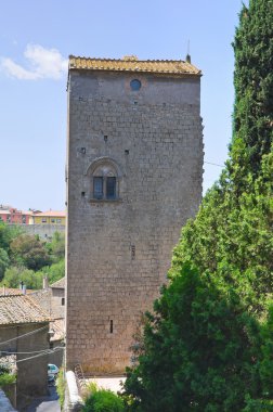 tarihsel kulesi. Viterbo. Lazio. İtalya.