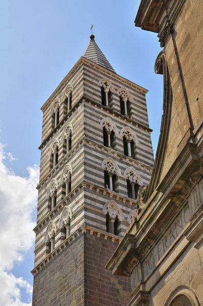 Belltower Cathedral of Viterbo. Lazio. Italy. — Stock Photo, Image