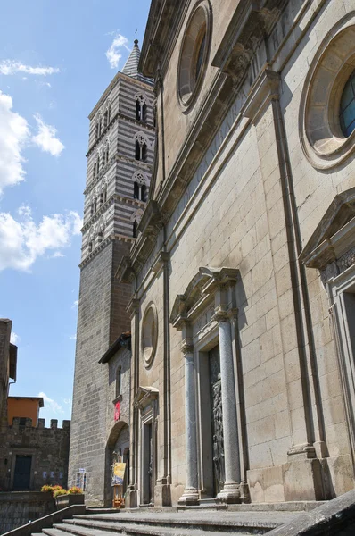 Kathedraal van viterbo. Lazio. Italië. — Stockfoto