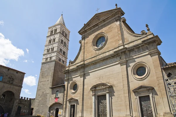 Kathedrale von Viterbo. Latium. Italien. — Stockfoto