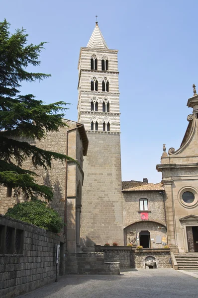 Kathedrale von Viterbo. Latium. Italien. — Stockfoto