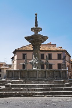 Fontana grande. Viterbo. Lazio. İtalya.