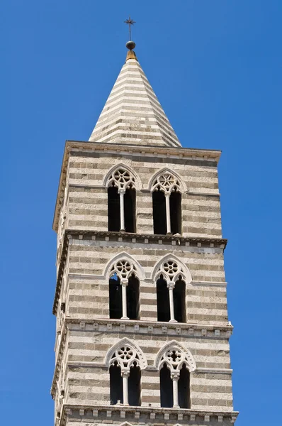 belltower cathedral of viterbo. lazio. italy.