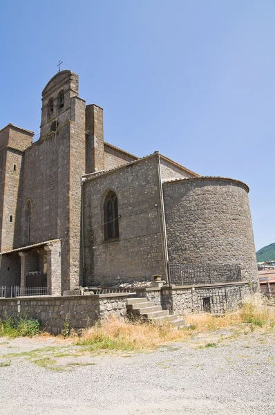 Basilica of St. Francesco alla Rocca. Viterbo. Lazio. Italy. — Stock Photo, Image