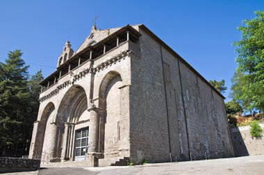 Basilica of st. flaviano. Montefiascone. Lazio. İtalya.
