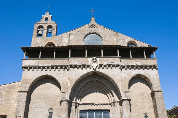Basílica de San Flaviano. Montefiascone. Lazio. Italia . — Foto de Stock