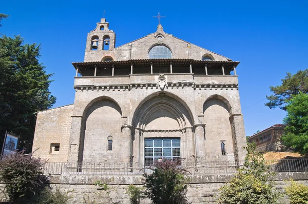 Basilikan st. flaviano. Montefiascone. Lazio. Italien. — Stockfoto