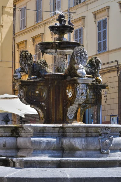Brunnen des hl. Stefano. viterbo. Latium. Italien. — Stockfoto