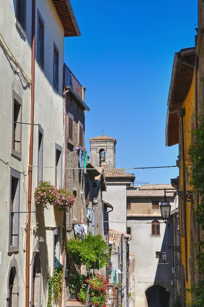 Callejuela. Montefiascone. Lazio. Italia . —  Fotos de Stock