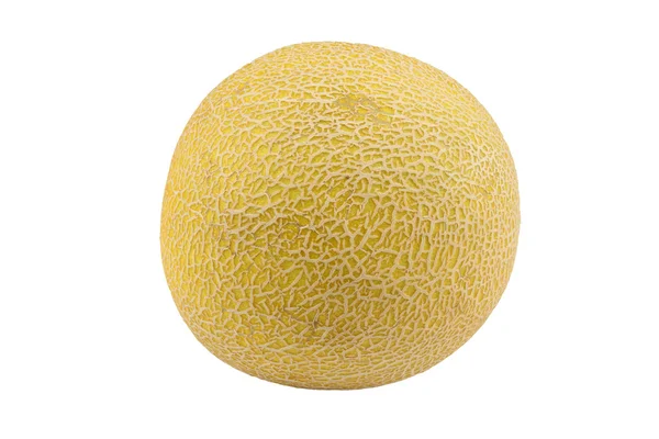 Галия melone — стоковое фото