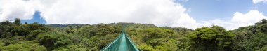 Cloud forest in Costa Rica clipart