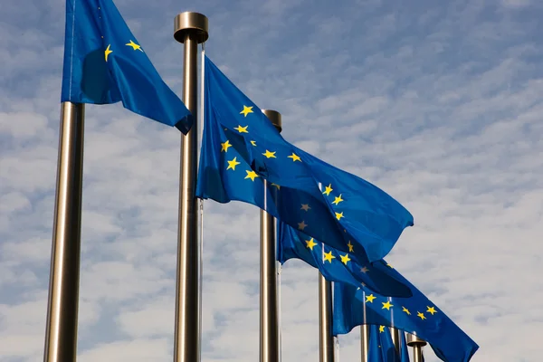 Europese vlaggen in Brussel — Stockfoto