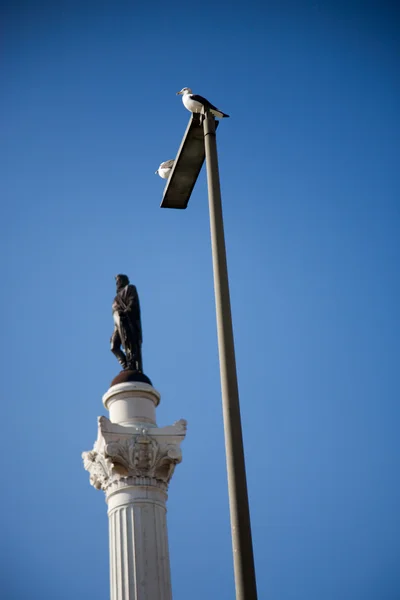 Kolumna z król pedro iv statua w Lizbonie, Portugalia — Zdjęcie stockowe