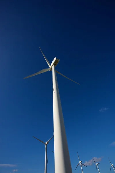 Tarifa wind mills — Stock Photo, Image