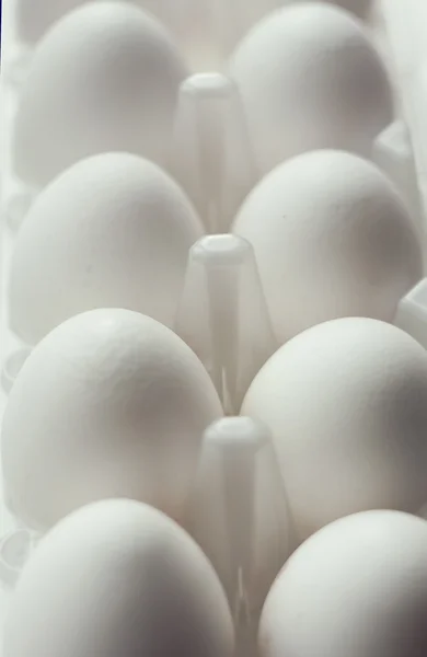 Huit œufs — Photo