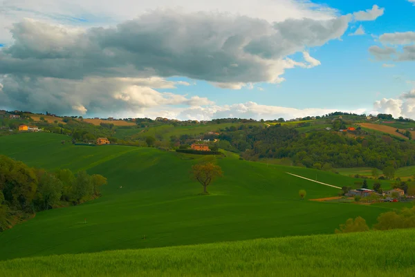 绿色领域的高尔夫意大利 — 图库照片