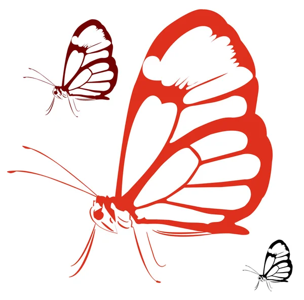 Obrovské černé a bílé motýla — Stockový vektor