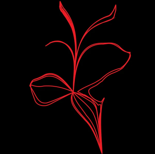 Illustrazione vettoriale fiore rosso su nero — Vettoriale Stock