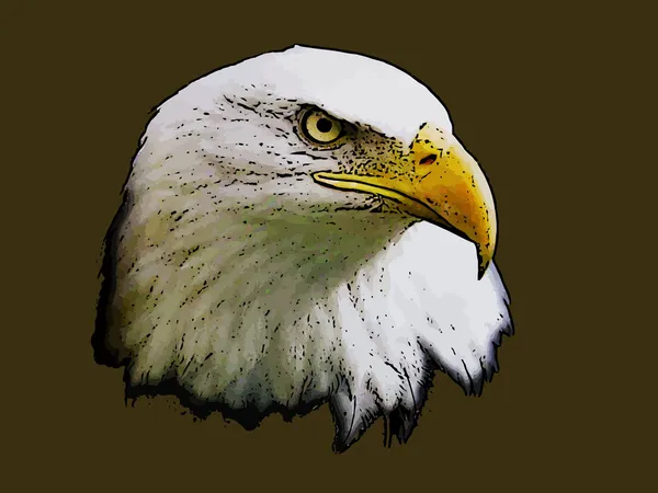 1,090 Eagles Vector Images | Depositphotos