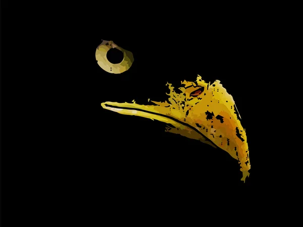Esboço gráfico da águia predadora silhueta —  Vetores de Stock