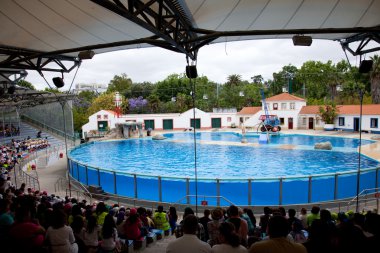 lisbon zoo, Dolphinarium