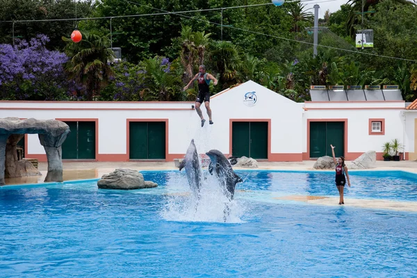 lisbon zoo, Dolphinarium