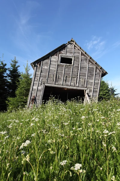 Leaning rustic old barn — Stock Photo, Image