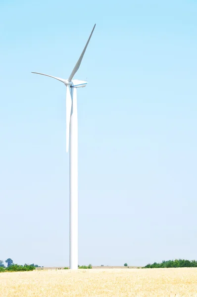 stock image Wind farm