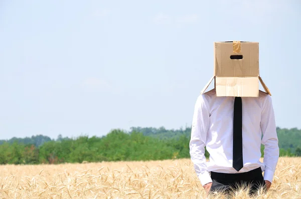 Üzleti ember bujkál arc — Stock Fotó
