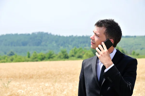 Business man on field — Stock Photo, Image