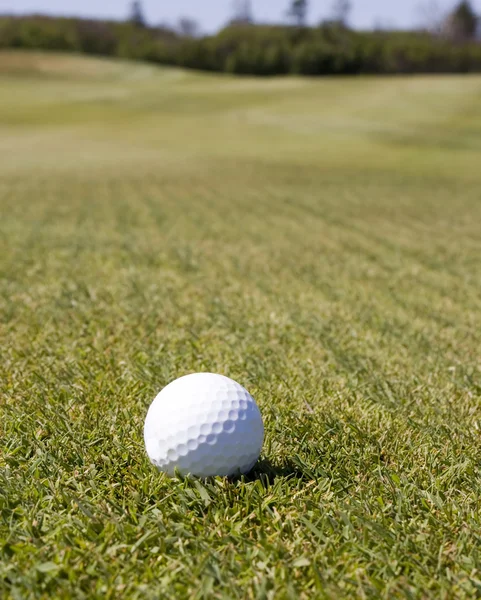 Espera la pelota de golf — Stockfoto