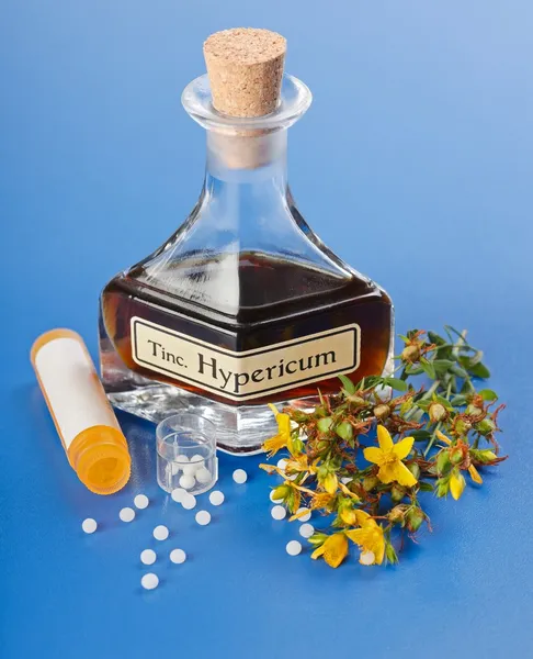 Hipericum planta y extracto y píldoras homeopáticas — Foto de Stock