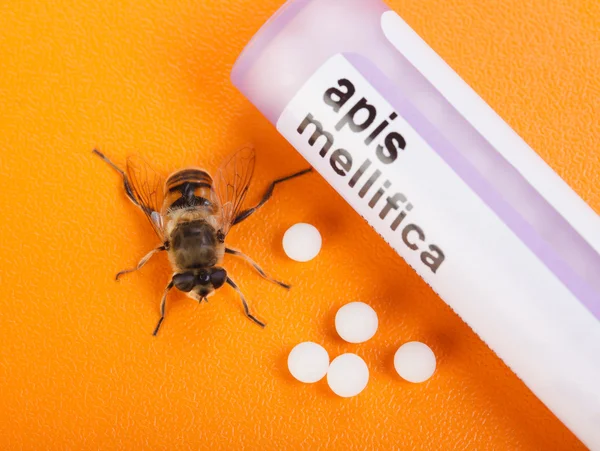Apis mellifica homöopathische Medikamente und Bienen — Stockfoto