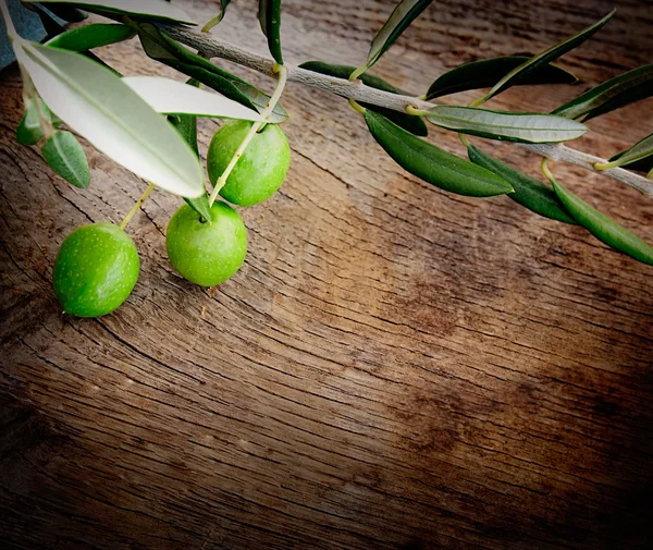 Sfondo olive — Foto Stock