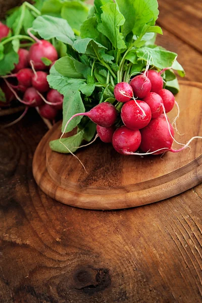 Fresh radish — Stock Photo, Image