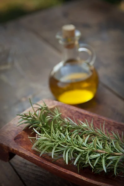 Extra virgin Olive oil — Stock Photo, Image