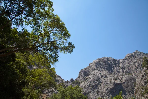 stock image Scenic views of the mountains