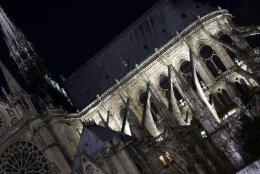 notre-dame Katedrali gece ayrıntılarını