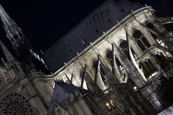 Detalles de Notre-Dame catedral por la noche — Foto de Stock