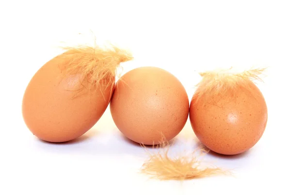 stock image Fresh eggs