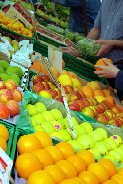 Recoger frutas — Foto de Stock
