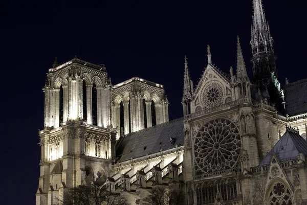 Veduta notturna della cattedrale di Notre-Dame Immagini Stock Royalty Free