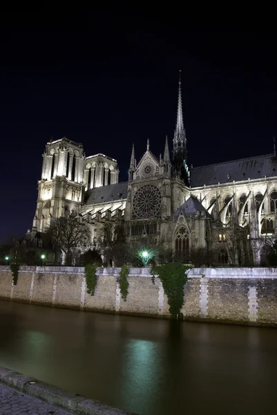 Notre-dame katedralen och seine floden genom natten Stockbild