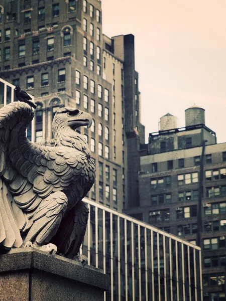 Aquila di pietra a Manhattan — Foto Stock