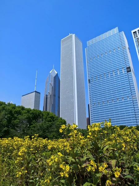 Butler fältet, chicago — Stockfoto
