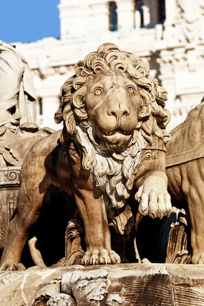 Detalhe do leão de pedra da fonte de Cibeles, Madrid — Fotografia de Stock
