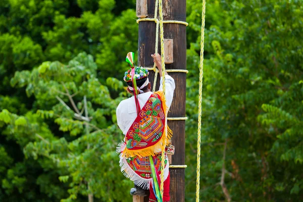 Традиционный майя-летчик, взбирающийся на деревянный полюс — стоковое фото